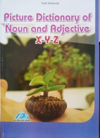 Picture Dictionary Of Noun and Adjective X-Y-Z