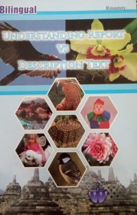 Understanding Repirt vs Description Text